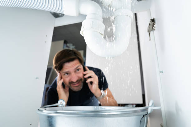 Best Pipe Repair Near Me  in De Soto, IA