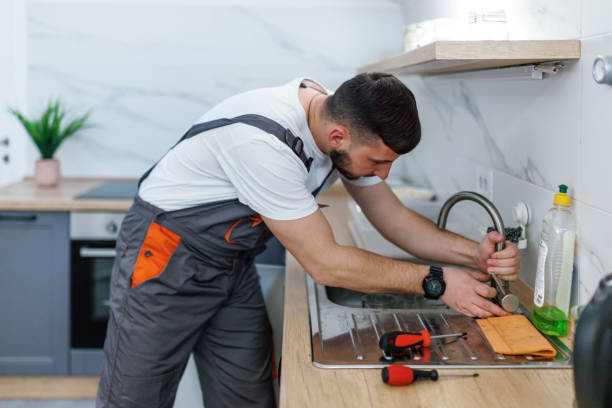 Best Plumbing Inspection Services  in De Soto, IA
