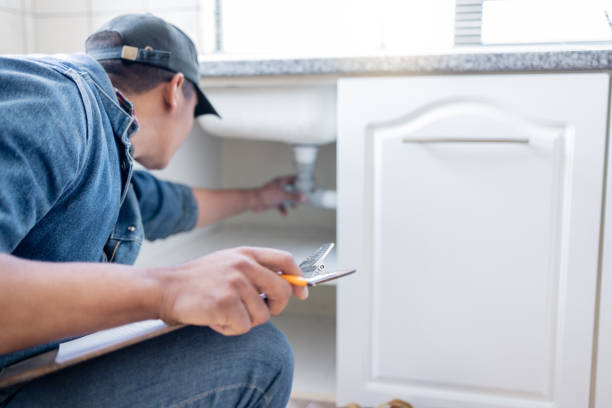 Best Shower Repair Services  in De Soto, IA