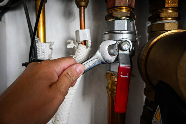 Best Local Plumber Services  in De Soto, IA